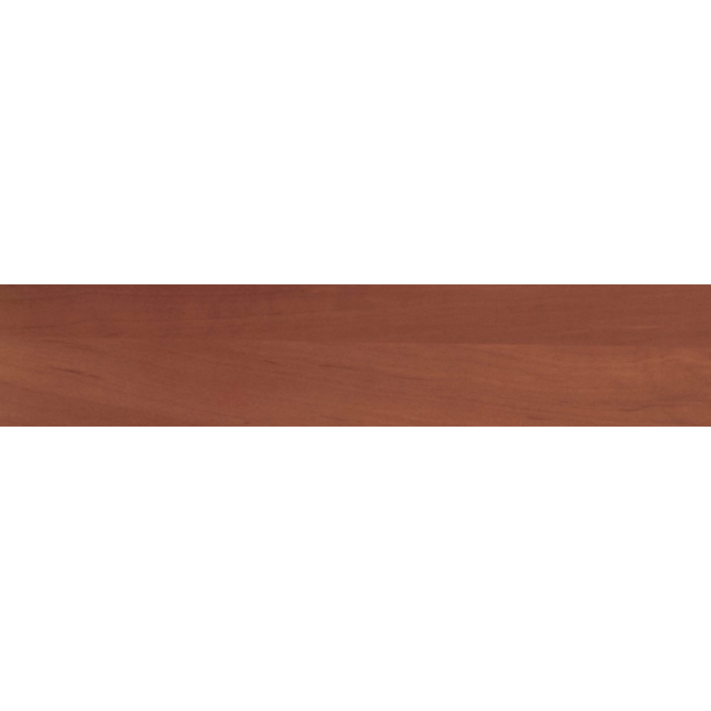 Яблоня локарно 19мм