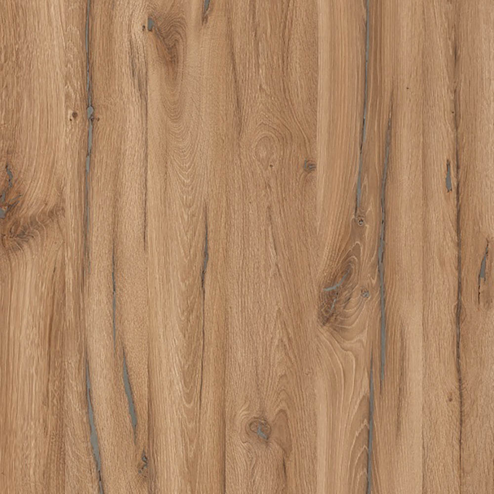 Дуб альпийский