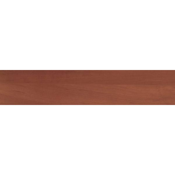 Яблоня локарно 19мм