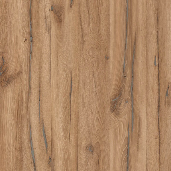 Дуб альпийский