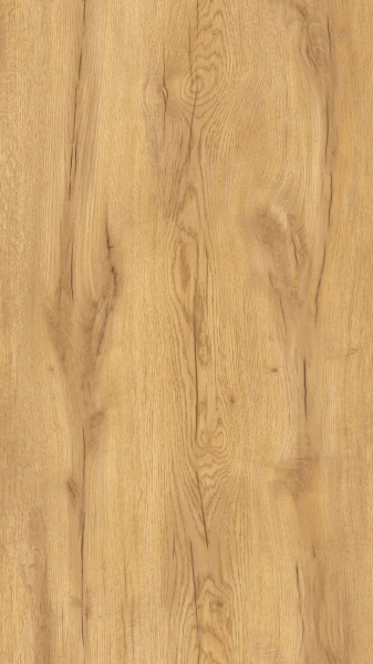 DUBZOLOTISTIIU1148 PolRaz