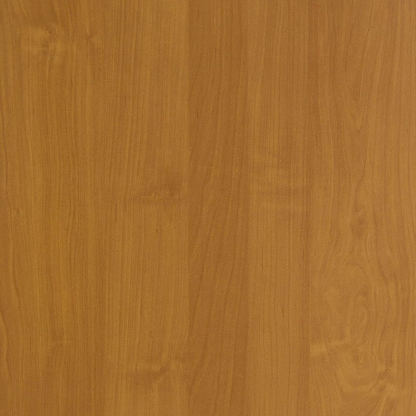 Ольха горская