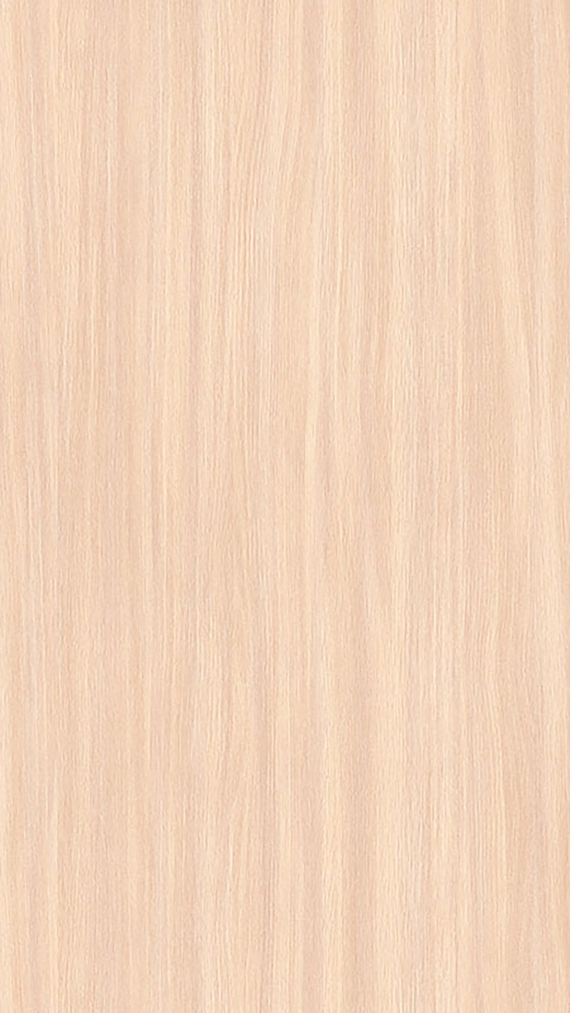 Дуб Молочный 8622