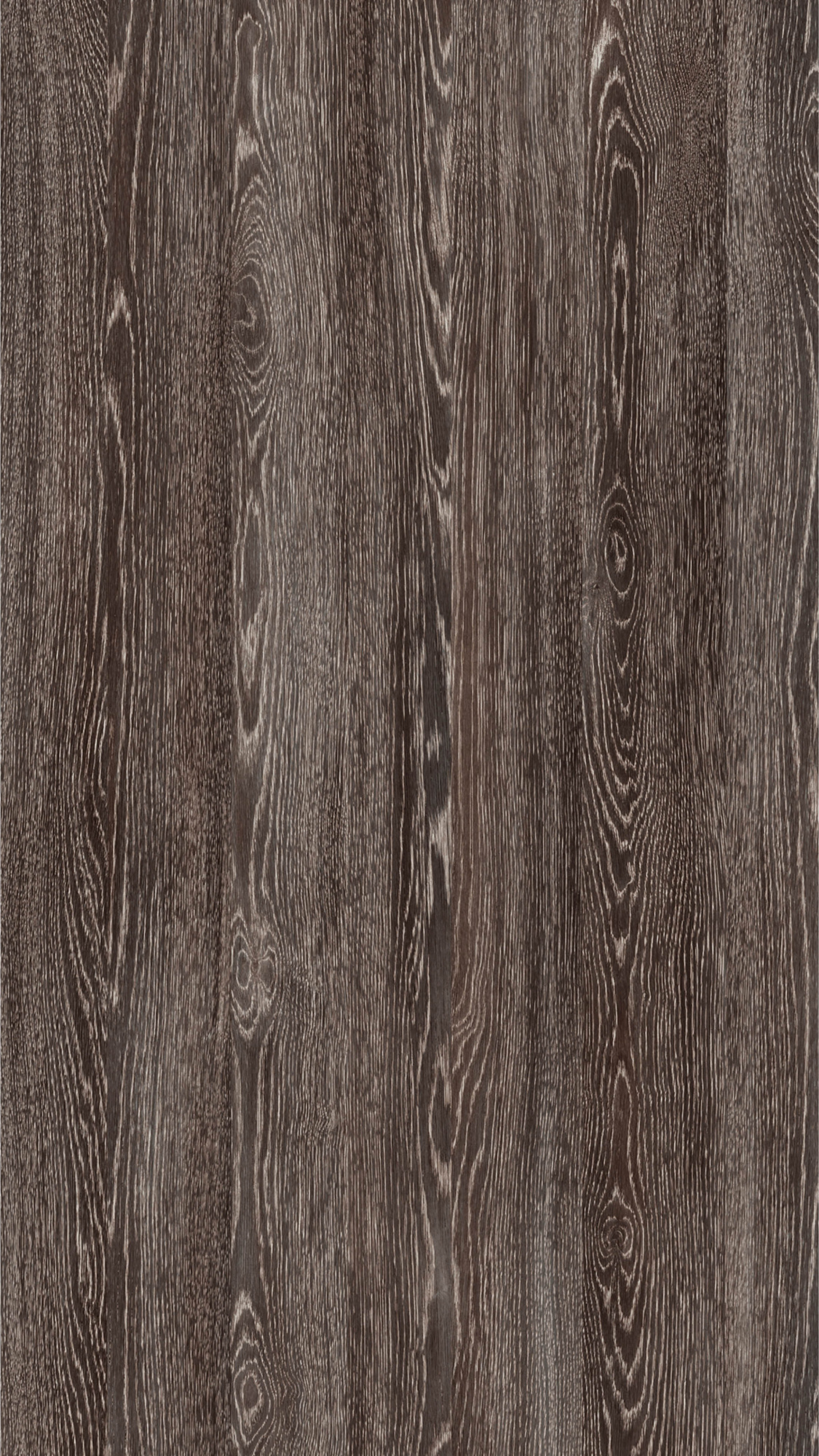 дуб марсала