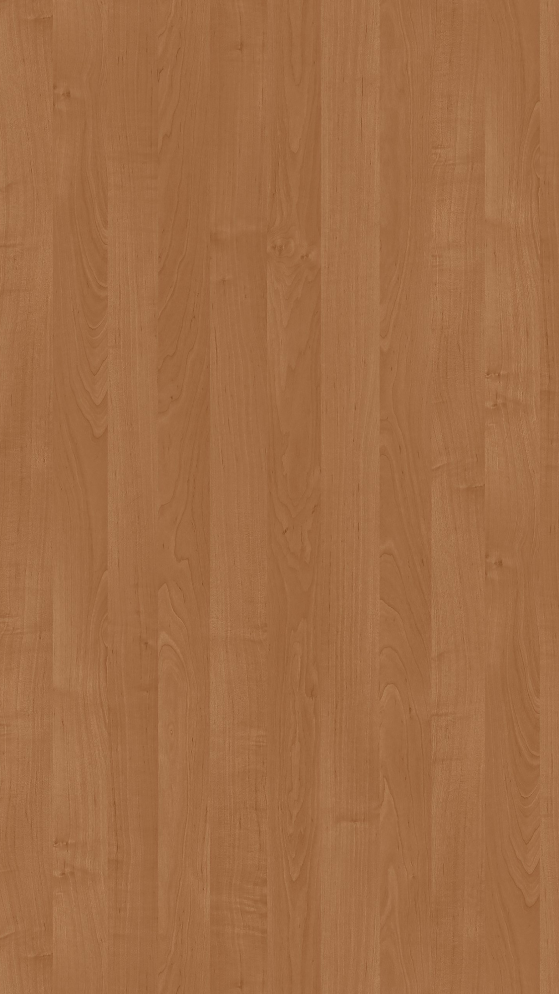 Ольха горская 1912 PR