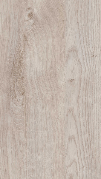 Дуб Монтерей 384 - Oak  Monterey 384
